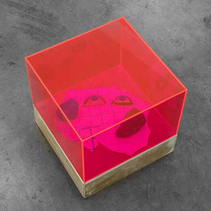 5 Sided Neon Acrylic Box